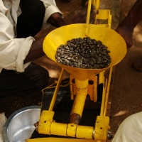 Jatropha seed oil press.