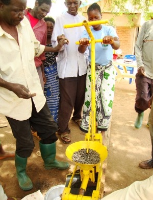 Group using Jatropha seed oil press.