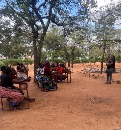 Elizabeth-conducting-meeting